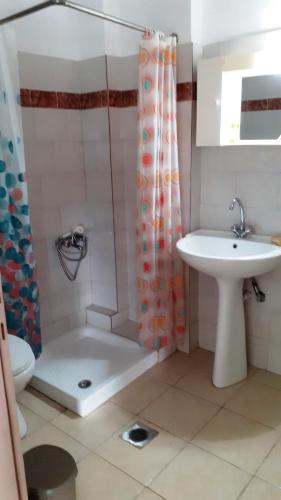 a bathroom with a shower and a sink and a toilet at Lampros apartments in Loutra Edipsou