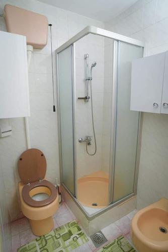 a bathroom with a shower with a toilet and a sink at Vila Balkan in Kikinda