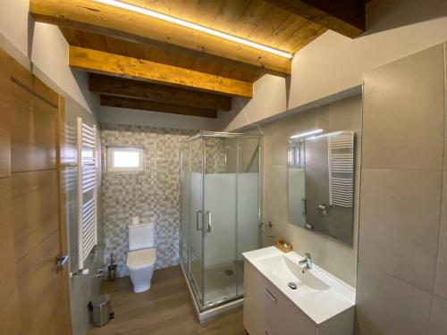 a bathroom with a shower and a sink and a toilet at Casa Berzoso en Gajano in Gajano