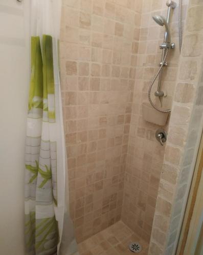 a bathroom with a shower with a shower curtain at La Quercia in Colle Farnese