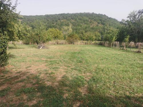 a field of grass with a fence and trees at Les Gites de Louisette 1886 in Ébreuil