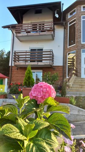 Giardino di Apartman Popović - Vila Gorštak