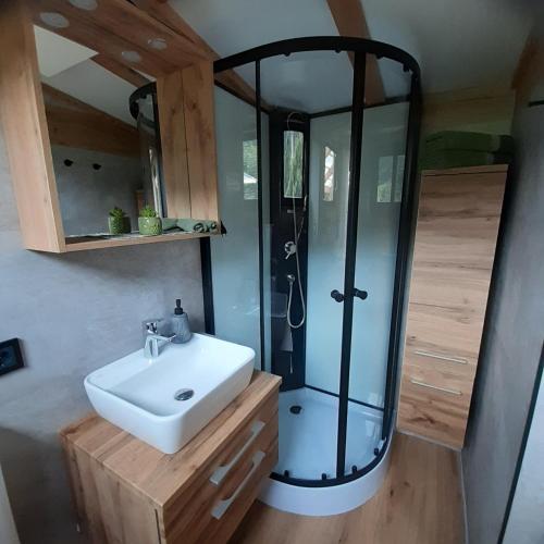 Vonios kambarys apgyvendinimo įstaigoje Tiny House am Steinergut