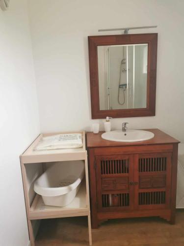 a bathroom with a sink and a mirror at Les Gites de Louisette 1886 in Ébreuil