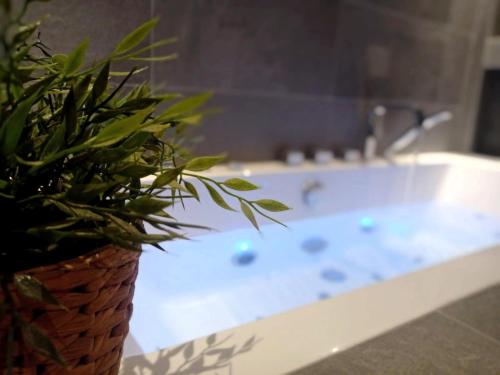a potted plant sitting next to a bath tub at *Spacieux T3 Campagne proche lac* in Magland