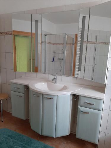 a bathroom with a sink and a mirror at Ferienhaus Naehe Kulkwitzer See in Leipzig