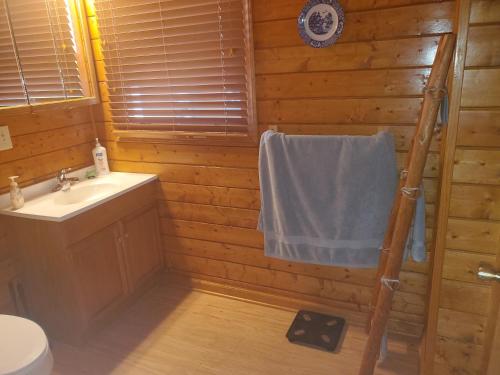 Ein Badezimmer in der Unterkunft Majestic Blue Ridge Mountains