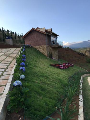 um jardim com flores roxas e azuis em frente a uma casa em Valle Piemonte em Divisa