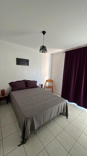 - une chambre avec un lit et un rideau pourpre dans l'établissement Superbe T2 à Balaruc les Bains, à Balaruc-les-Bains