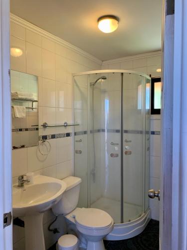 a bathroom with a shower and a toilet and a sink at Cabañas Parque Del Lago in Panguipulli