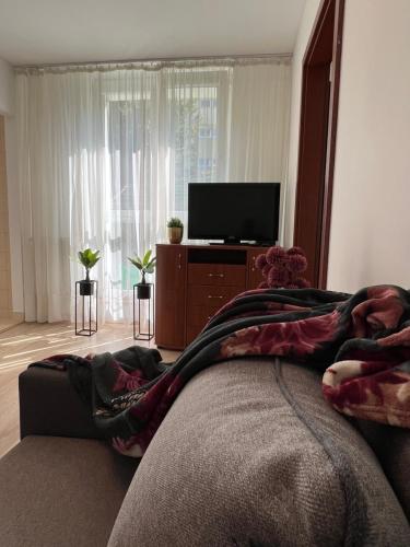 a living room with a bed and a flat screen tv at Zgierz Parzęczewska District in Zgierz