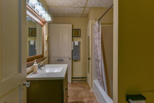 加利納的住宿－Main Street two bedroom in Galena-Great location!，一间带水槽和淋浴的浴室