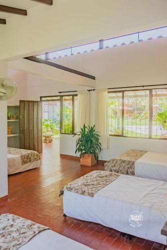 a large bedroom with three beds and windows at Hotel Vivero Arte Vivo I Quindío I Eje Cafetero in La Tebaida