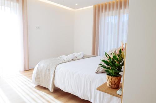 a white bedroom with a bed and a plant on a table at A Casa da Quintã - Piscina exterior e interior aquecida in Cabeceiras de Basto