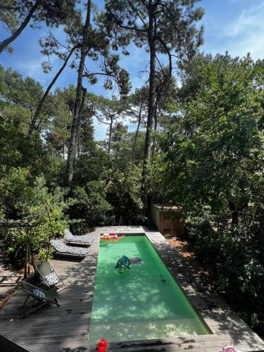 Villa Tropicool – Photos 5