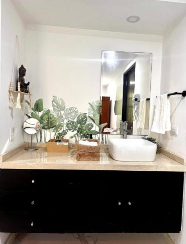 baño con lavabo y espejo grande en Casa Olivo en Ciudad de México