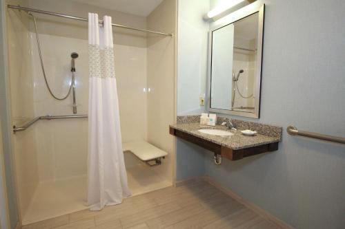 a bathroom with a sink and a mirror and a shower at Hampton Inn Sandusky-Central in Sandusky