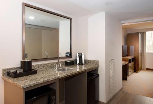 a bathroom with a sink and a large mirror at Embassy Suites by Hilton Cincinnati Northeast - Blue Ash in Blue Ash