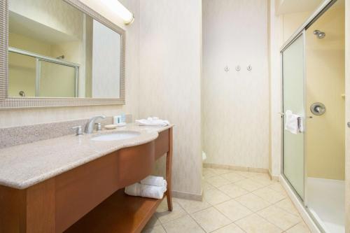 a bathroom with a sink and a mirror and a shower at Hampton Inn Santa Rosa in Santa Rosa