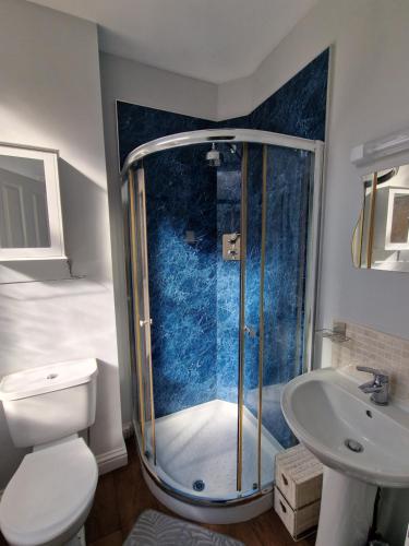 uma casa de banho com um chuveiro, um WC e um lavatório. em Teviotside Travel Inn Ltd em Hawick