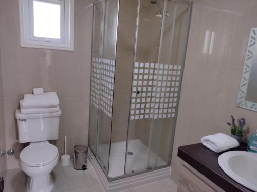uma casa de banho com um chuveiro, um WC e um lavatório. em Cabañas Puerto Varas em Puerto Varas