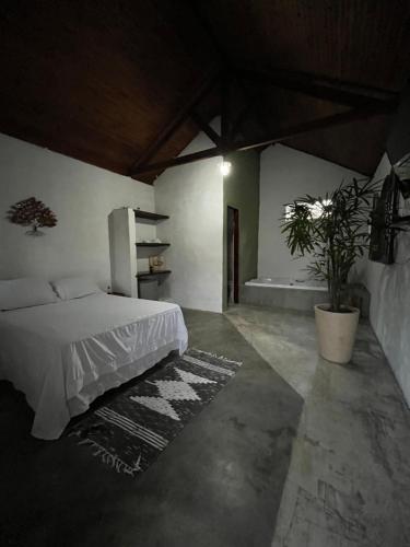 ein Schlafzimmer mit einem Bett und einer Topfpflanze in der Unterkunft Pousada Chalés da Lua in Munhoz