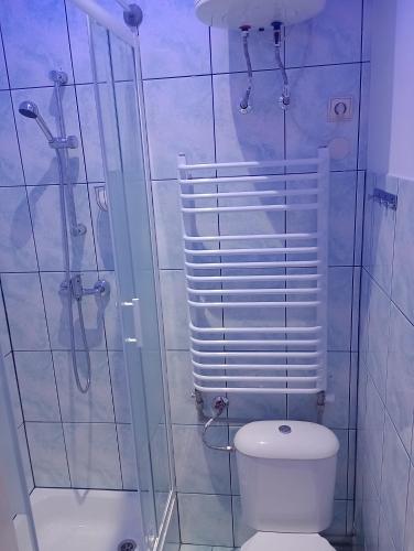 uma casa de banho com um chuveiro, um WC e um chuveiro em Kawalerka. em Przemyśl