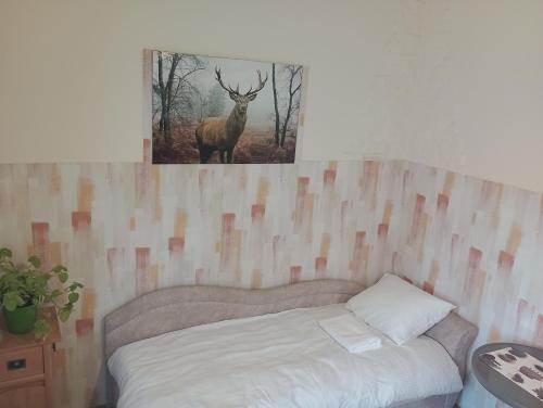 1 dormitorio con 1 cama con una foto de un ciervo en Kawalerka. en Przemyśl