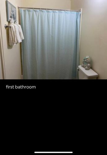 a bathroom with a shower curtain and a toilet at 2 Bedroom Apt Falmouth in Florence Hall