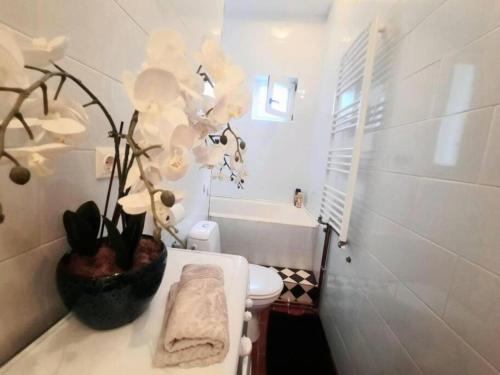 a bathroom with a toilet and a plant on a counter at Old Town Central 2 Bedroom Oasis in Timişoara