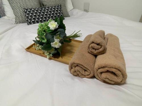 Comma house Nishi-ikebukuro 102