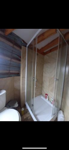 a shower stall in a bathroom with a toilet at Domo En Papudo Sector BosqueMar in Papudo