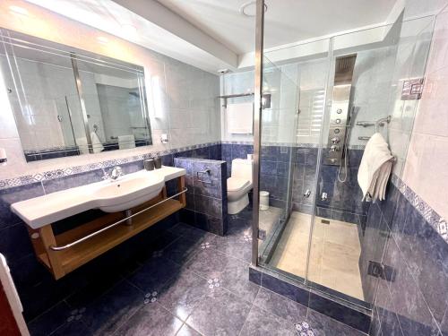 een badkamer met een wastafel en een douche bij Skyline Santiago in Santiago