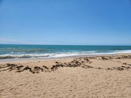 a beach with a lot of seaweed on the sand at 3 bedroom townhouse w garage blocks from the beach in Puerto Peñasco