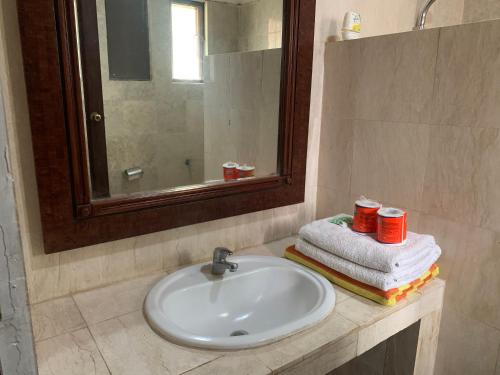 a bathroom with a sink and a mirror and towels at Studio Lumbung in Lovina