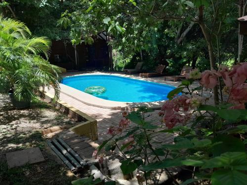 una piscina en un patio con un árbol en Hotel Cabinas La Playa en Playa Avellana