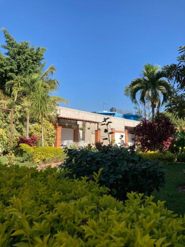 a house with palm trees and bushes at Quinta Doña Carlota in Chiconcuac
