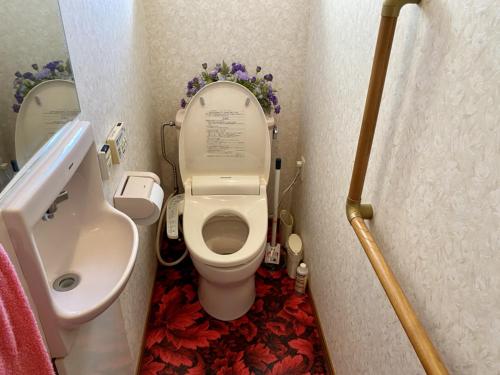 a small bathroom with a toilet and a sink at Guest in Shallman in Amami