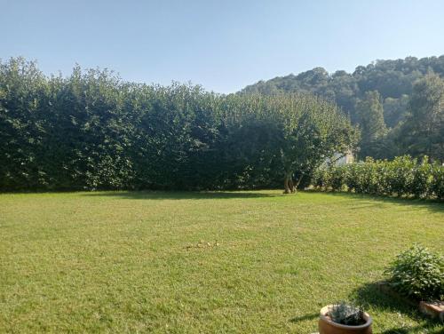 a field of grass with trees in the background at Cascina Vica Biella in Andorno Micca