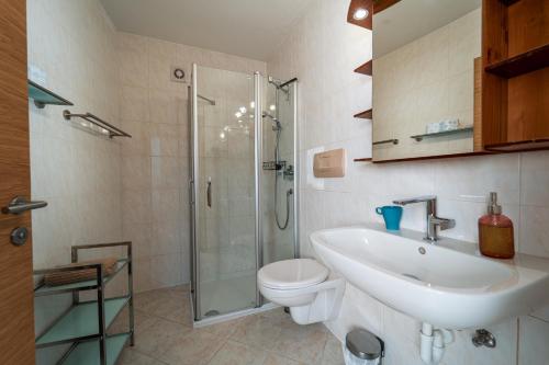 uma casa de banho com um WC, um lavatório e um chuveiro em Mias Apartments em Rabla
