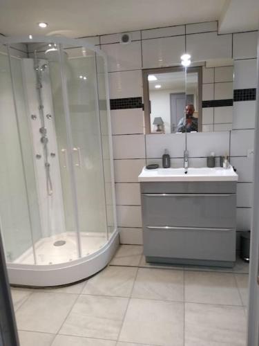 y baño con ducha y lavamanos. en AU COEUR DES CHATEAUX, en Ballan-Miré