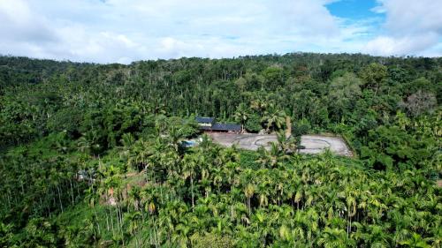 an aerial view of a train in the middle of a forest at Leisure Homestay - Pool, Boating, Zipline, Home Food, Estate in Chikmagalūr