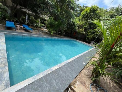 a swimming pool in a resort with blue chairs and trees at Monkey villa in Hikkaduwa