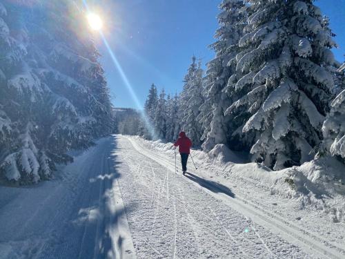 a person is cross country skiing down a snow covered road at Wellness Resort Bouda Malá Úpa in Horní Malá Úpa