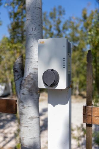 a mail box on a pole next to a tree at Bio Fattoria Mula D'Oro - biofattoriamuladoro it - Organic Food, Nature & Relax in Mulazzano