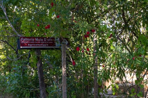 a sign in front of some trees with red apples at Bio Fattoria Mula D'Oro - biofattoriamuladoro it - Organic Food, Nature & Relax in Mulazzano