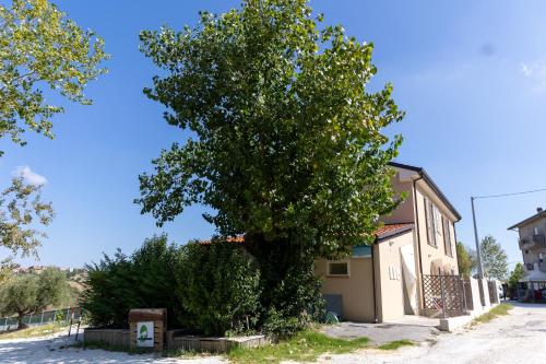 a large tree in front of a house at Bio Fattoria Mula D'Oro - biofattoriamuladoro it - Organic Food, Nature & Relax in Mulazzano