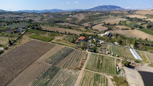 an aerial view of a field with a farm at Bio Fattoria Mula D'Oro - biofattoriamuladoro it - Organic Food, Nature & Relax in Mulazzano