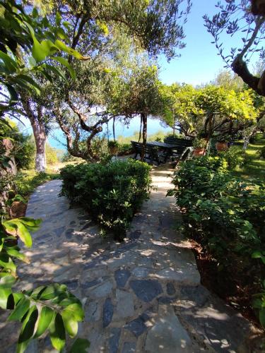 Κήπος έξω από το VILLA AGIA AIKATERINI