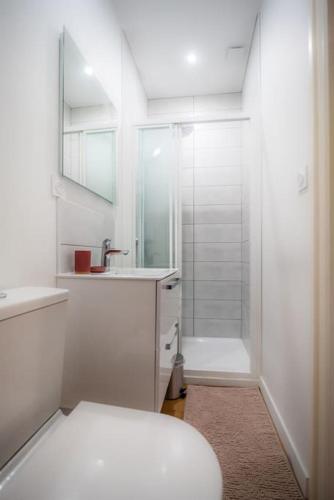 une salle de bain avec une douche, des toilettes et un lavabo dans l'établissement SplendideT2 centre ville & terrasse extérieure, à Cognac